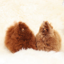 Load image into Gallery viewer, Leather alpaca