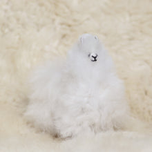 Load image into Gallery viewer, Leather alpaca