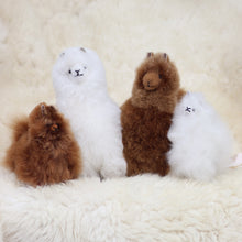 Load image into Gallery viewer, Leather alpaca