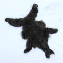 Load image into Gallery viewer, Baby alpaca leather