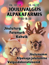 Load image into Gallery viewer, Gift handover by Mrs. Claus at our Christmas event!