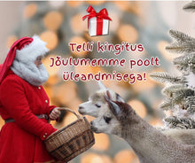 Load image into Gallery viewer, Gift handover by Mrs. Claus at our Christmas event!