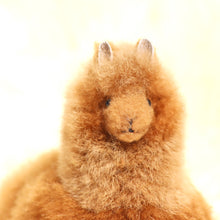 Load image into Gallery viewer, Leather alpaca