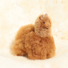 Load image into Gallery viewer, Leather alpaca