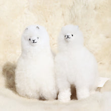 Load image into Gallery viewer, Leather alpaca