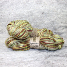Load image into Gallery viewer, NEW! Hand dyed alpaca yarn ANDES