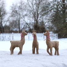 Load image into Gallery viewer, Cardboard llama