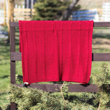 Load image into Gallery viewer, Scarf with braids