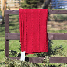 Load image into Gallery viewer, Scarf with braids