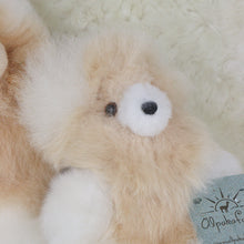 Load image into Gallery viewer, Leather teddy bear