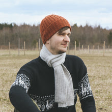 Load image into Gallery viewer, A long scarf