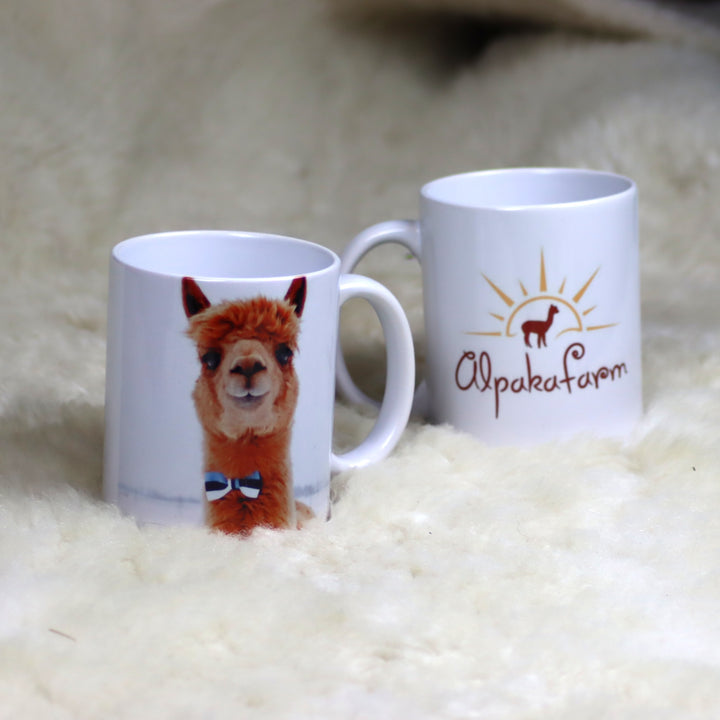 Mug - various options