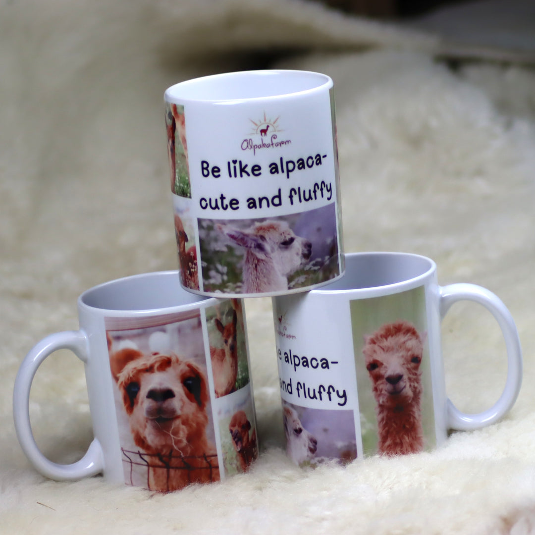 Mug - various options
