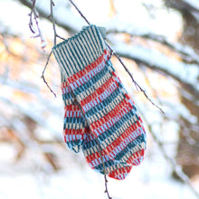 Load image into Gallery viewer, Colorful mittens
