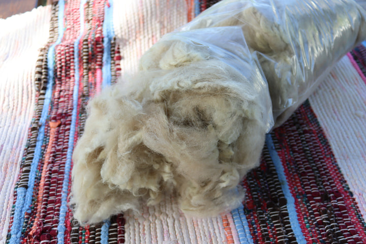 Alpaca wool