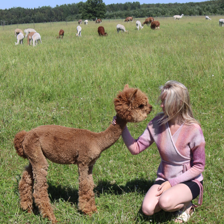 Delicate wrap sweater