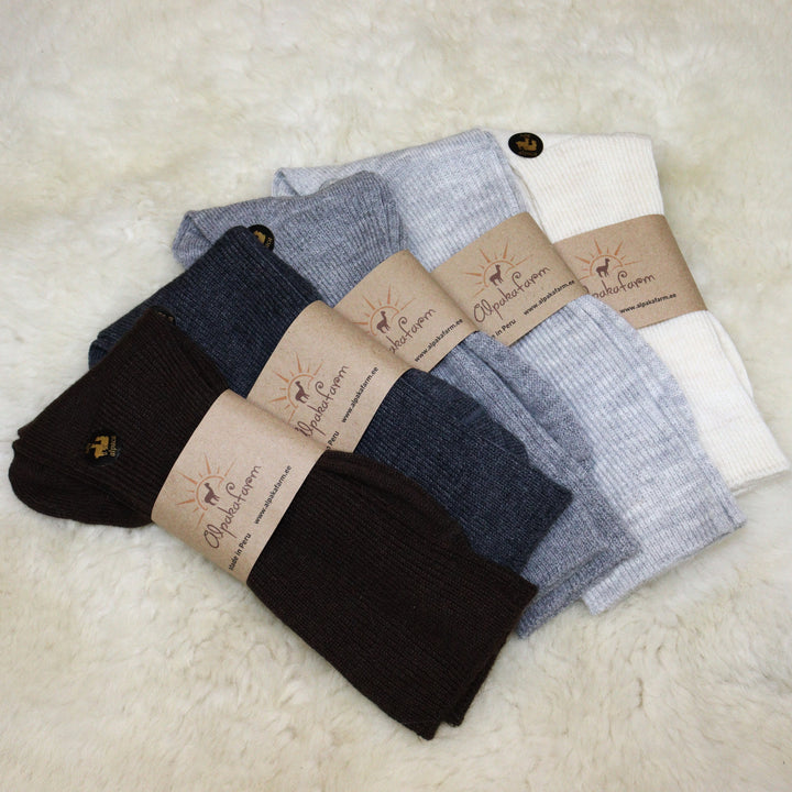 Shoe socks