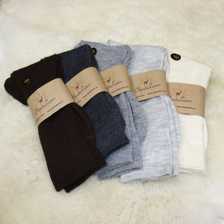 Shoe socks