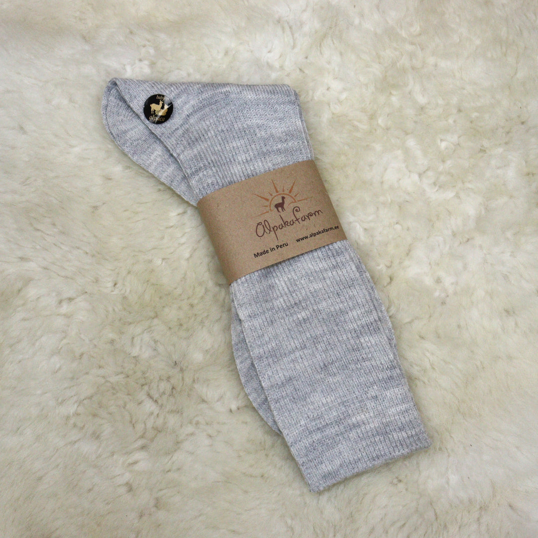 Shoe socks