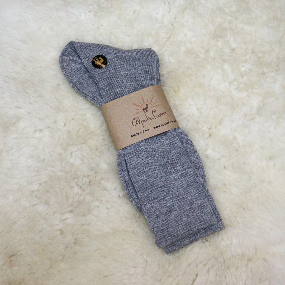 Shoe socks