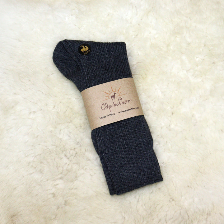 Shoe socks