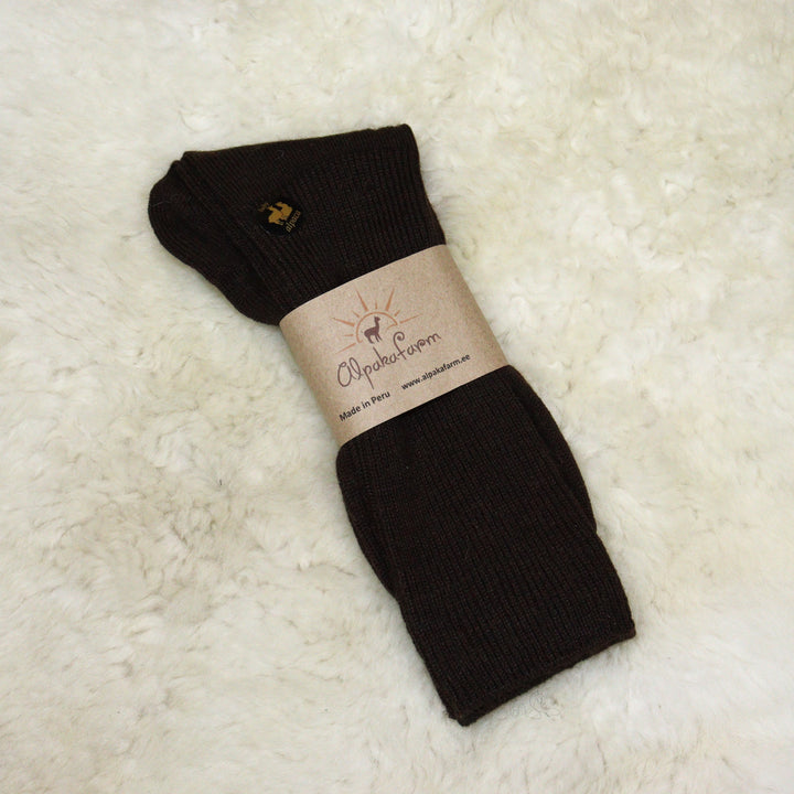 Shoe socks