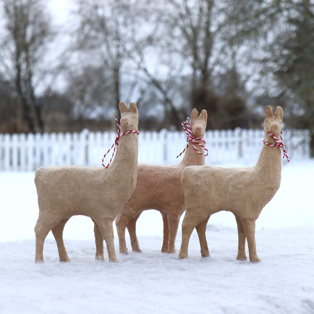 Cardboard Llama