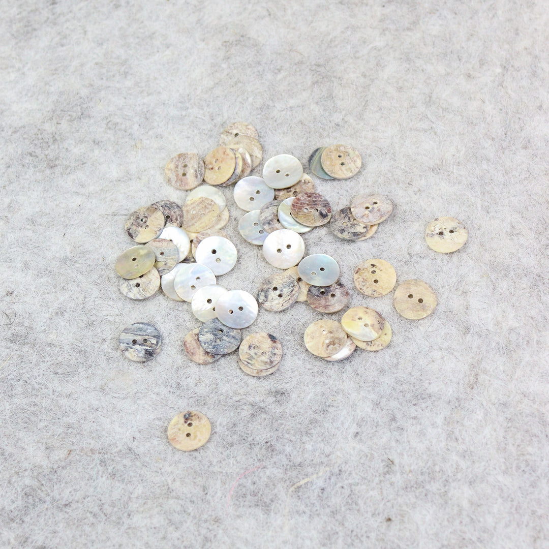 Seashell buttons