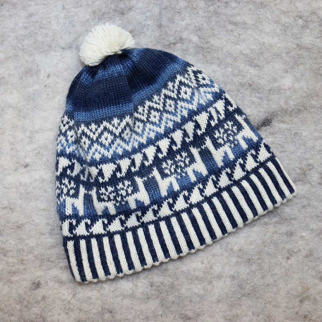 Patterned pom-pom hat