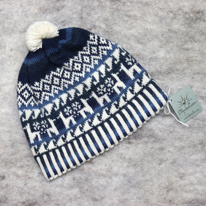 Patterned pom-pom hat
