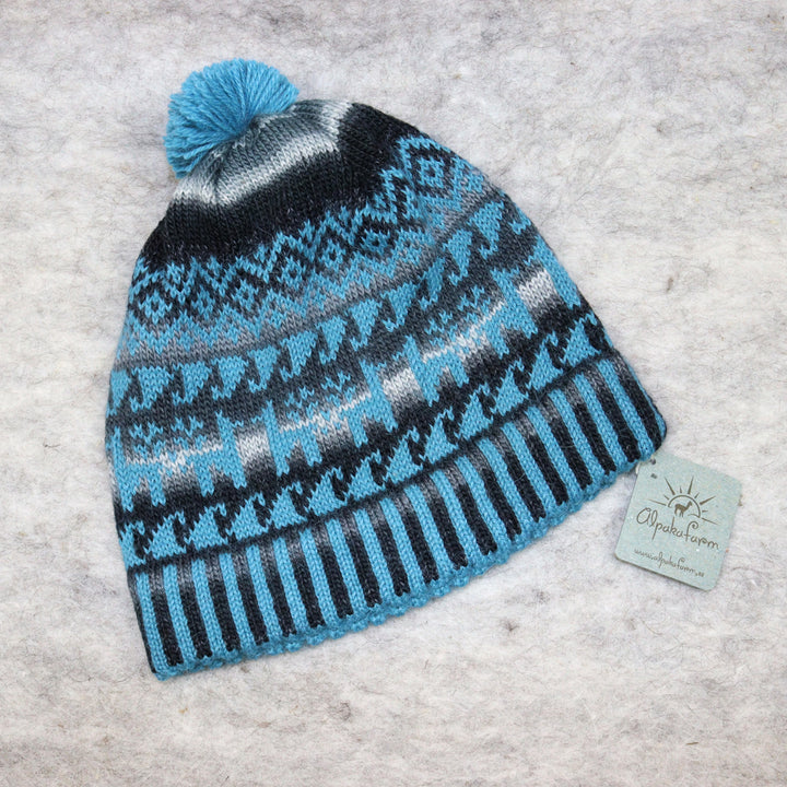 Patterned pom-pom hat