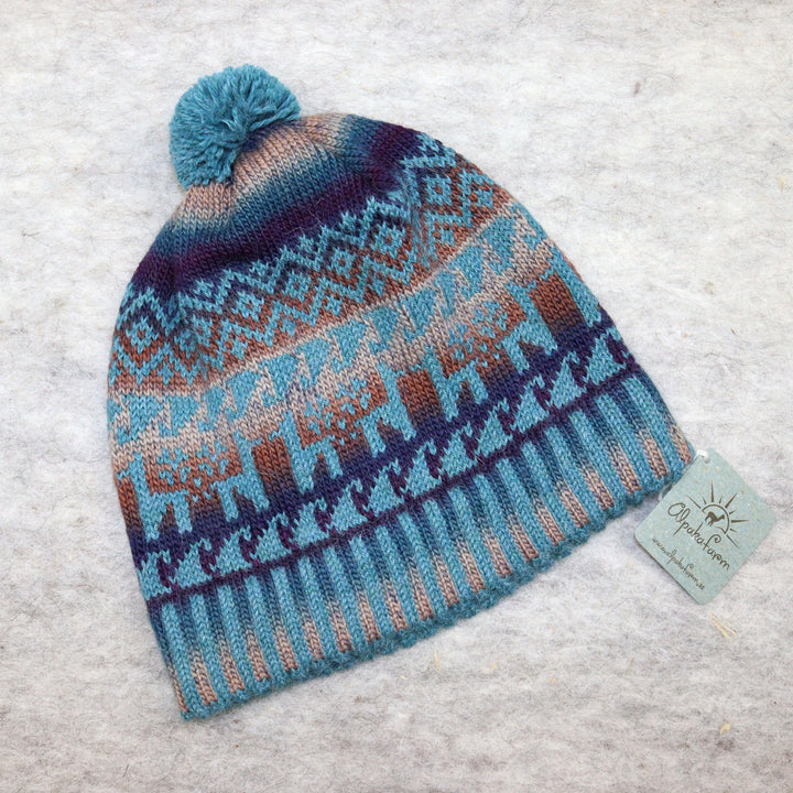 Patterned pom-pom hat